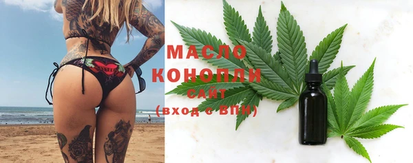 хмурый Аркадак