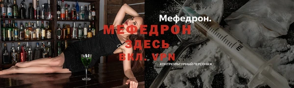хмурый Аркадак