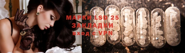 хмурый Аркадак
