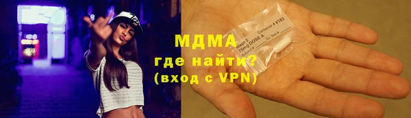 хмурый Аркадак
