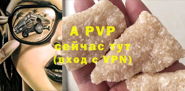 хмурый Аркадак