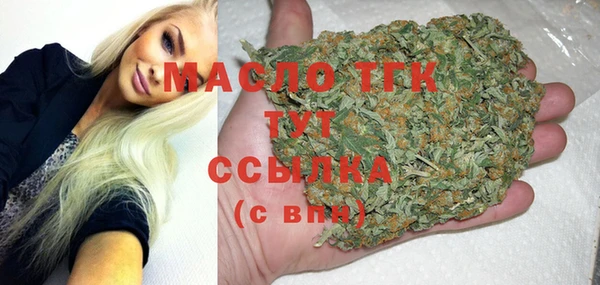хмурый Аркадак