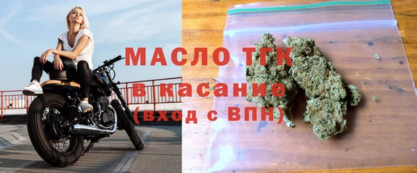 хмурый Аркадак