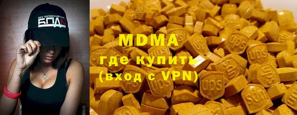 хмурый Аркадак
