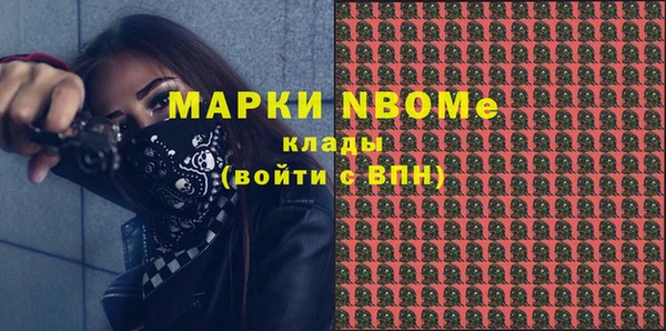хмурый Аркадак