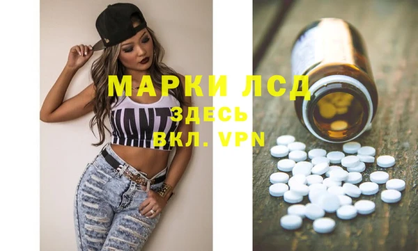 хмурый Аркадак